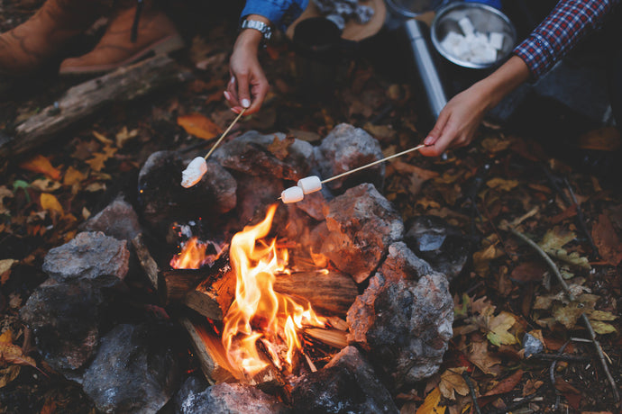 Embrace the Cozy Season: A Guide to Choosing the Perfect Firewood for Fall and Winter